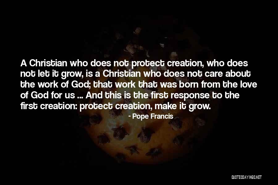 Creation Care Quotes By Pope Francis