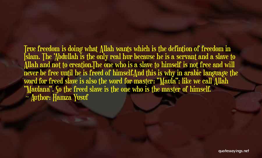 Creation Of Allah Quotes By Hamza Yusuf