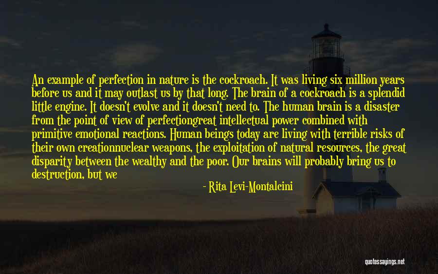 Creation Today Quotes By Rita Levi-Montalcini Creation Today Quotes By Rita Levi-Montalcini