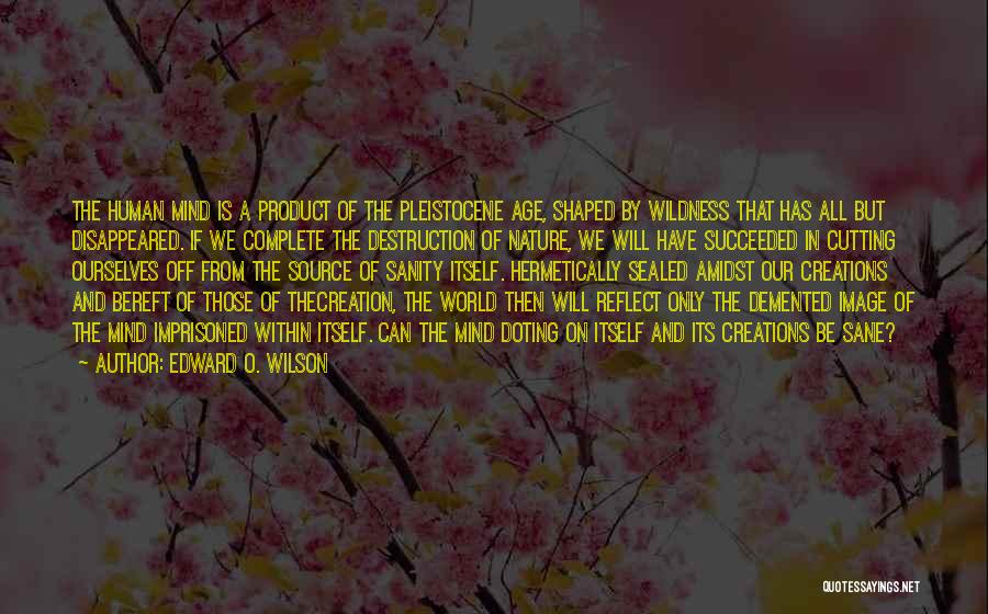 Creation Vs Destruction Quotes By Edward O. Wilson