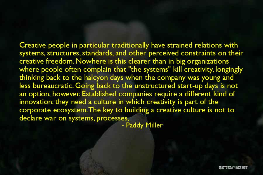 Creative Freedom Quotes By Paddy Miller