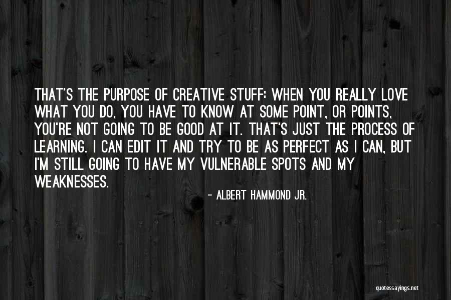 Creative Learning Process Quotes By Albert Hammond Jr. Creative Learning Process Quotes By Albert Hammond Jr.