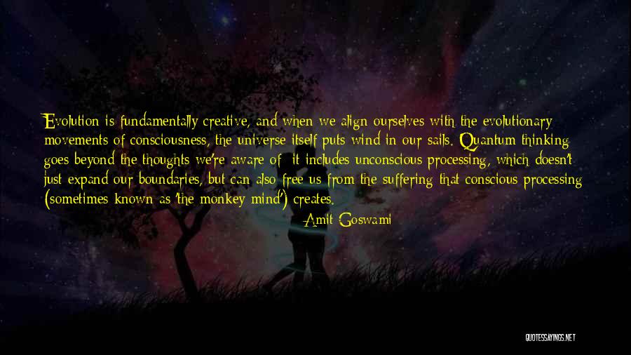 Creative Thinking Inspirational Quotes By Amit Goswami