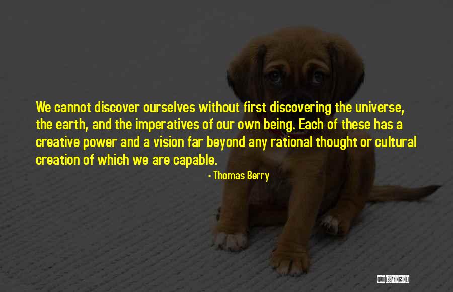 Creative Vision Quotes By Thomas Berry