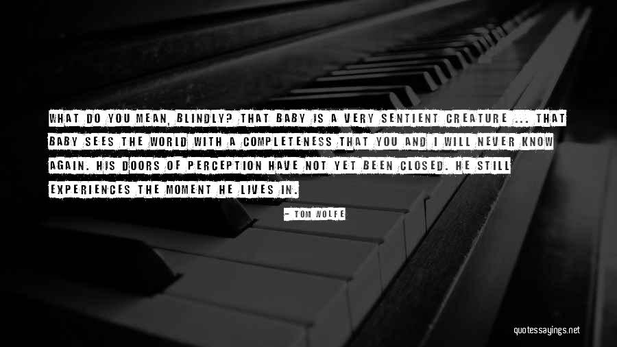 Creativities Guam Quotes By Tom Wolfe Creativities Guam Quotes By Tom Wolfe