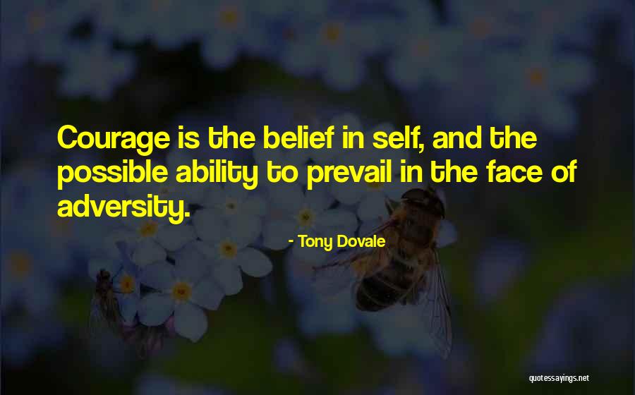 Creativity And Leadership Quotes By Tony Dovale