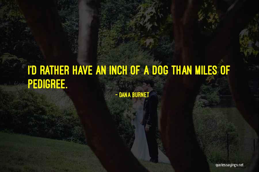 Creativity Dr Seuss Quotes By Dana Burnet Creativity Dr Seuss Quotes By Dana Burnet
