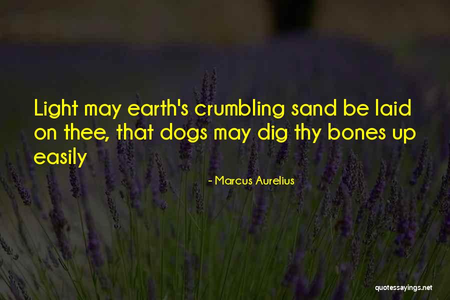 Creators In The Maze Runner Quotes By Marcus Aurelius Creators In The Maze Runner Quotes By Marcus Aurelius
