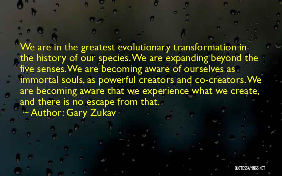 Creators Quotes By Gary Zukav