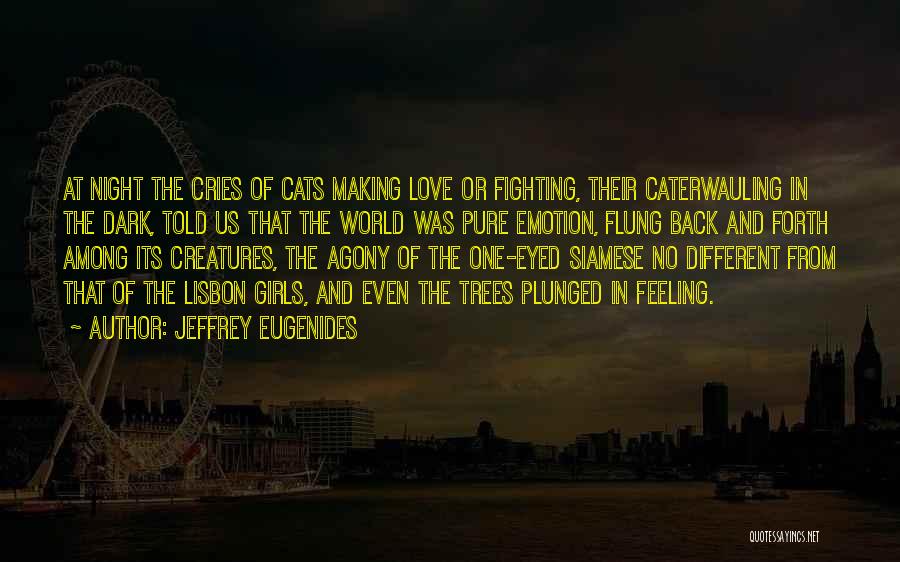 Creatures Of The Night Quotes By Jeffrey Eugenides