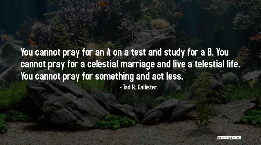 Crebles Quotes By Tad R. Callister Crebles Quotes By Tad R. Callister