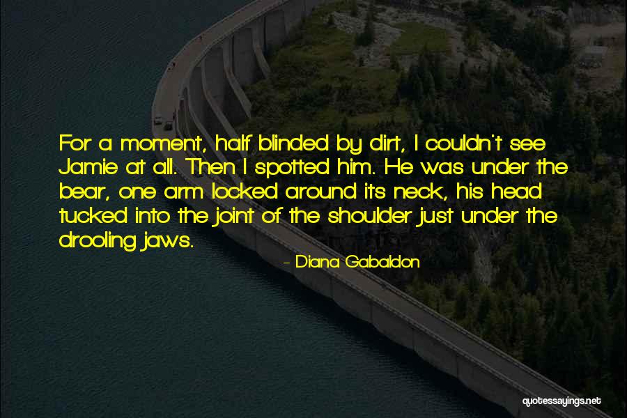 Credeam Atunci Quotes By Diana Gabaldon Credeam Atunci Quotes By Diana Gabaldon