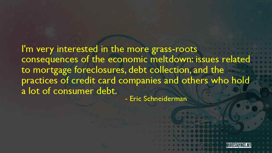 Credit Card Debt Quotes By Eric Schneiderman Credit Card Debt Quotes By Eric Schneiderman