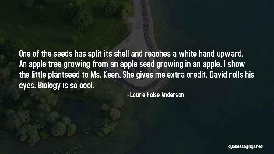 Credit One Quotes By Laurie Halse Anderson Credit One Quotes By Laurie Halse Anderson
