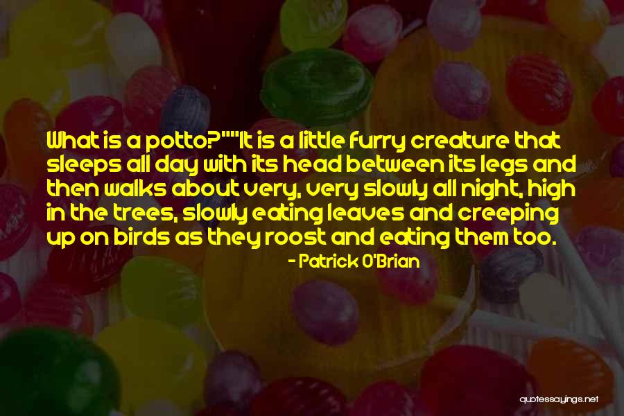 Creeping Quotes By Patrick O'Brian