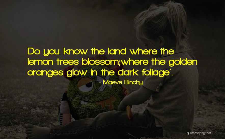Creepy Elmo Quotes By Maeve Binchy Creepy Elmo Quotes By Maeve Binchy
