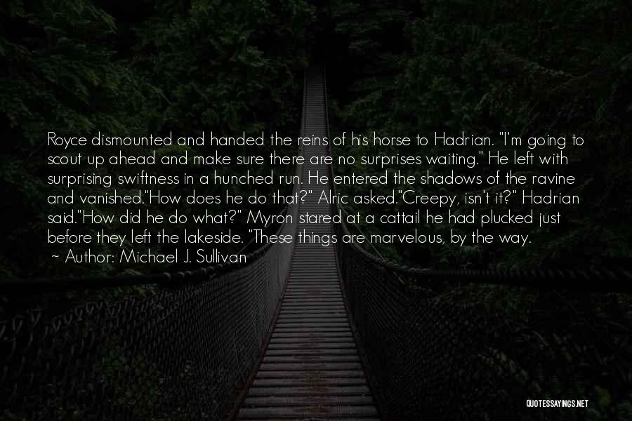 Creepy Things Quotes By Michael J. Sullivan