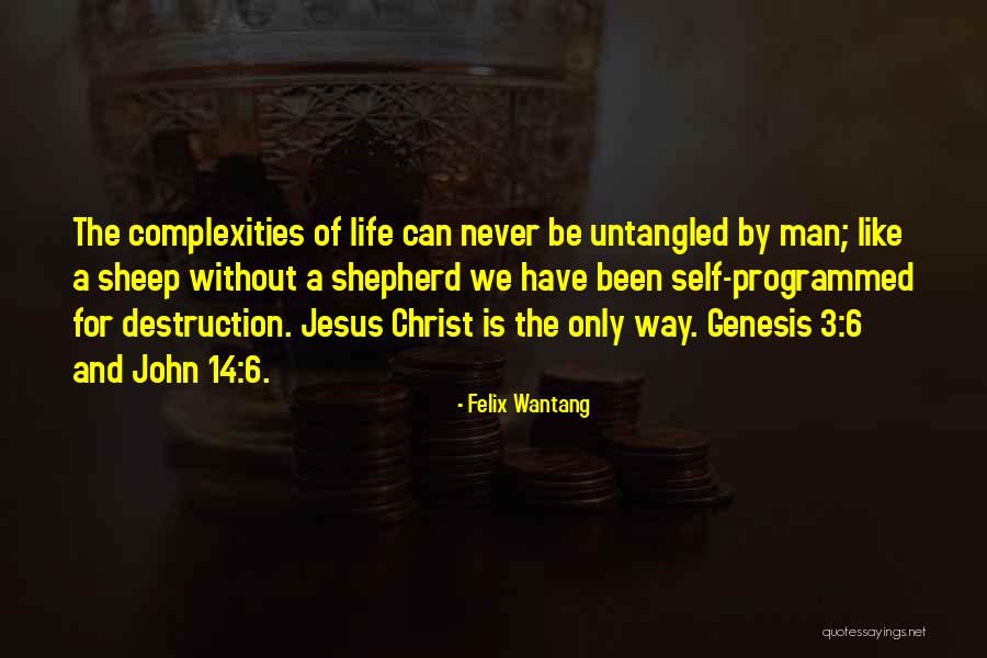 Cremagliera Per Scaffali Quotes By Felix Wantang Cremagliera Per Scaffali Quotes By Felix Wantang
