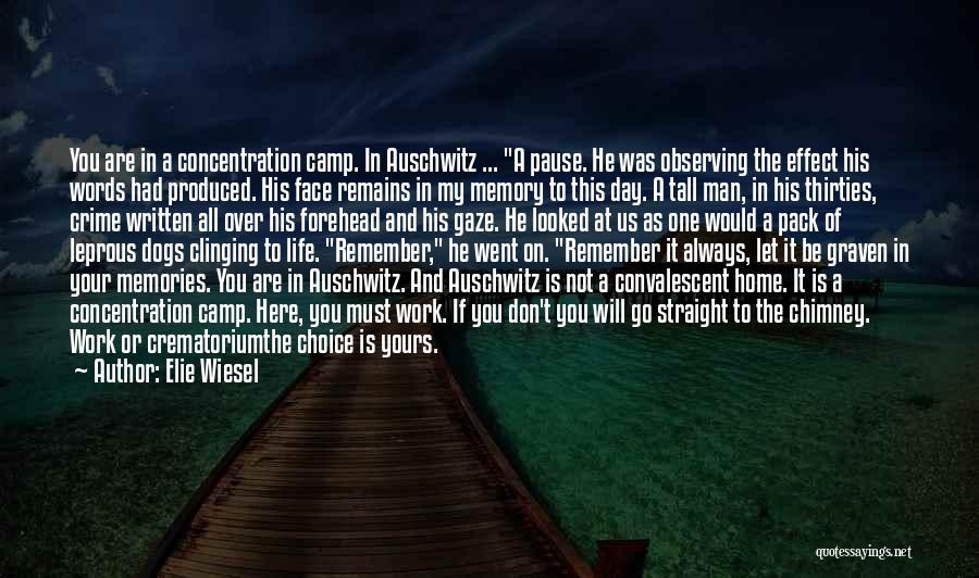 Crematorium Holocaust Quotes By Elie Wiesel