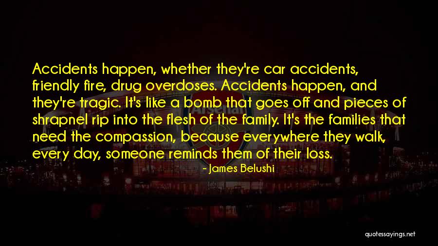 Cremer House Quotes By James Belushi Cremer House Quotes By James Belushi