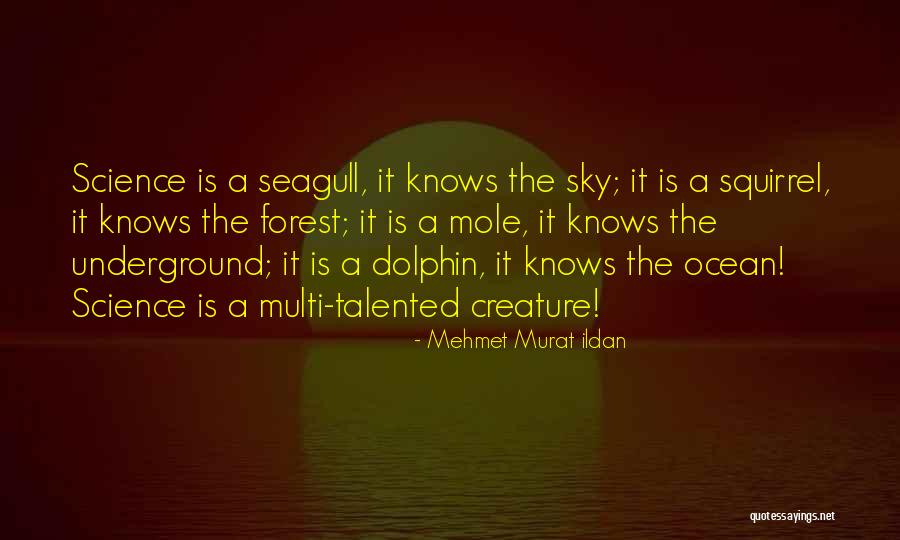 Cremers In Dubuque Quotes By Mehmet Murat Ildan Cremers In Dubuque Quotes By Mehmet Murat Ildan