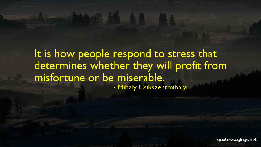 Cremisio Quotes By Mihaly Csikszentmihalyi Cremisio Quotes By Mihaly Csikszentmihalyi