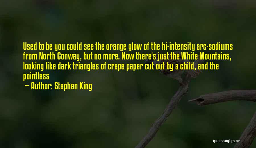Crepe Quotes By Stephen King
