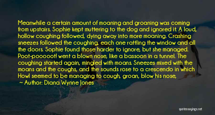 Crescendo Quotes By Diana Wynne Jones