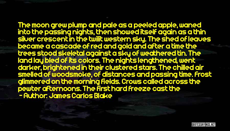 Crescent Moon Quotes By James Carlos Blake