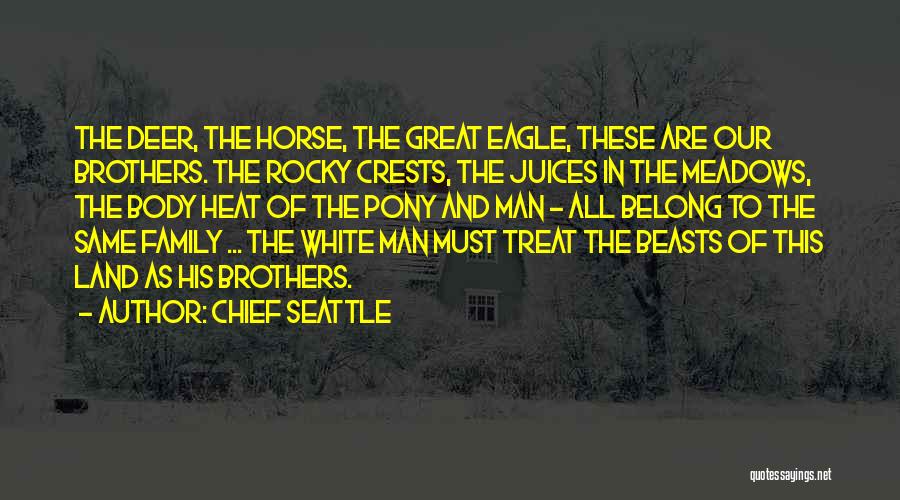 Crests Quotes By Chief Seattle