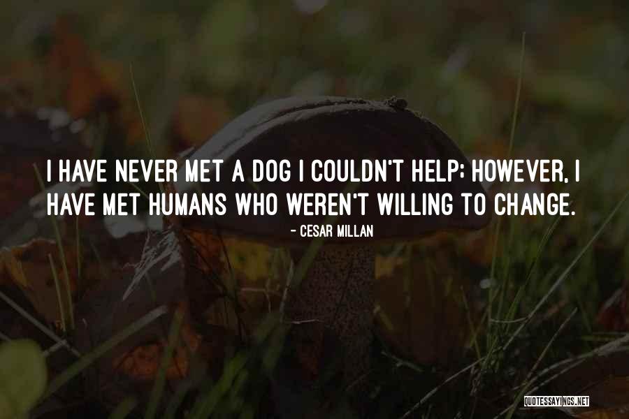 Crestwell Buffet Quotes By Cesar Millan Crestwell Buffet Quotes By Cesar Millan