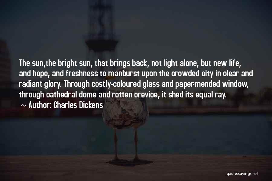 Crevice Quotes By Charles Dickens