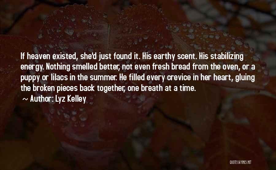 Crevice Quotes By Lyz Kelley