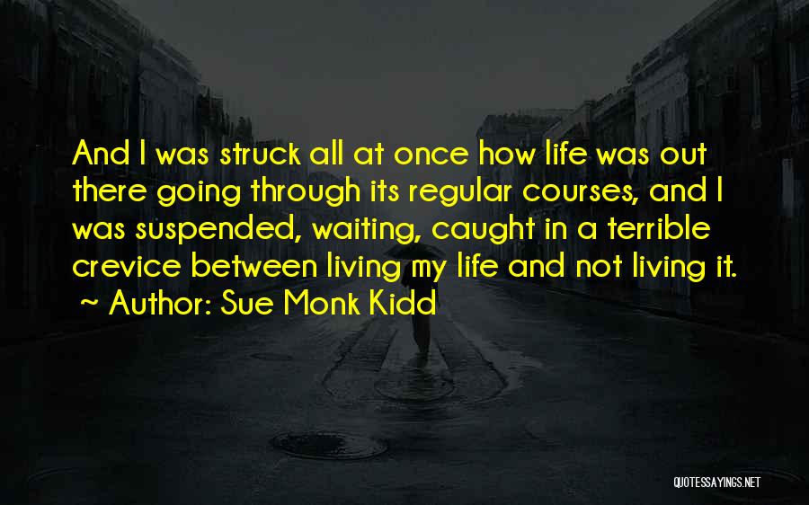 Crevice Quotes By Sue Monk Kidd