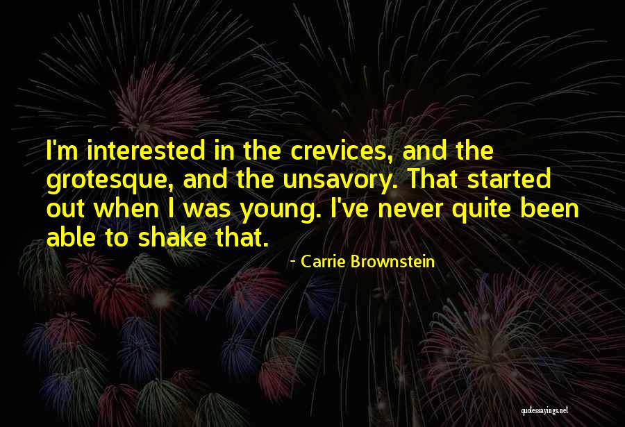 Crevices Quotes By Carrie Brownstein Crevices Quotes By Carrie Brownstein