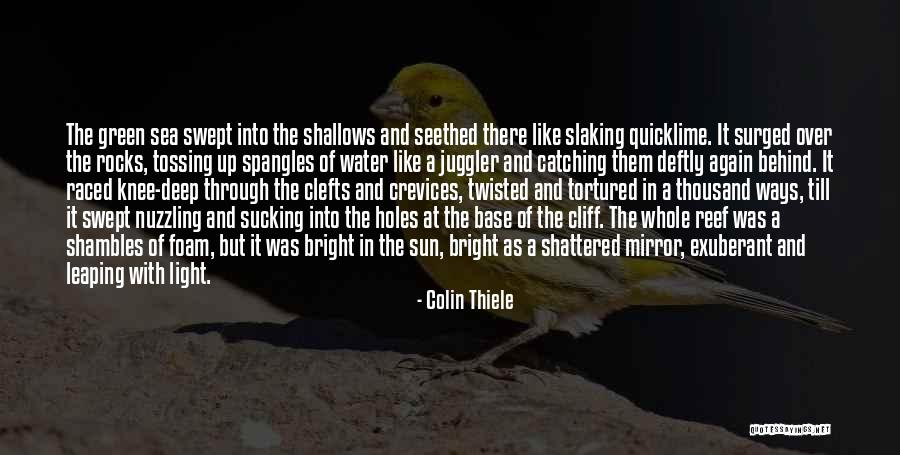 Crevices Quotes By Colin Thiele Crevices Quotes By Colin Thiele