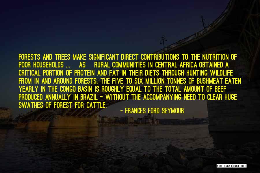Creyentes Sinonimo Quotes By Frances Ford Seymour Creyentes Sinonimo Quotes By Frances Ford Seymour