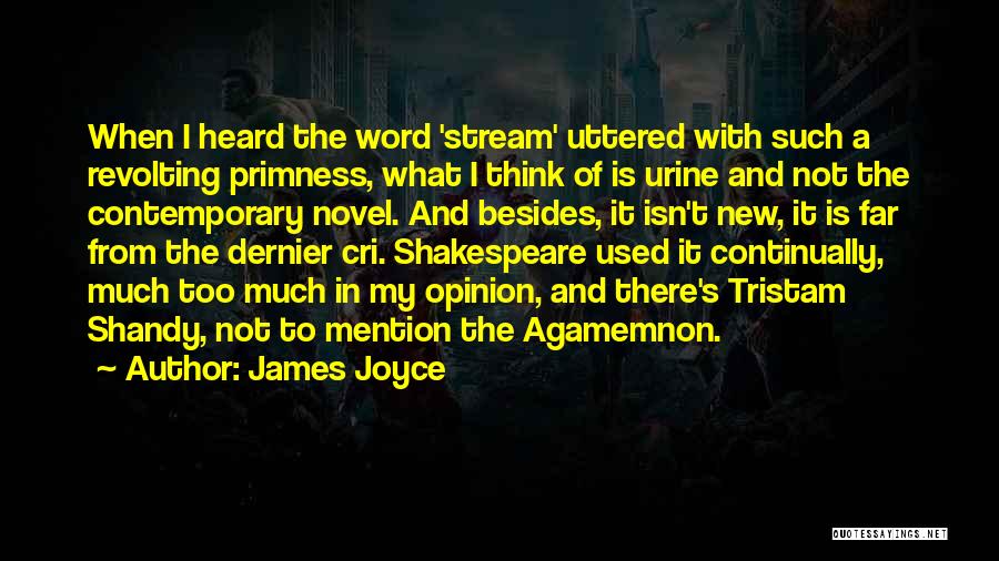 Cri-kee Quotes By James Joyce