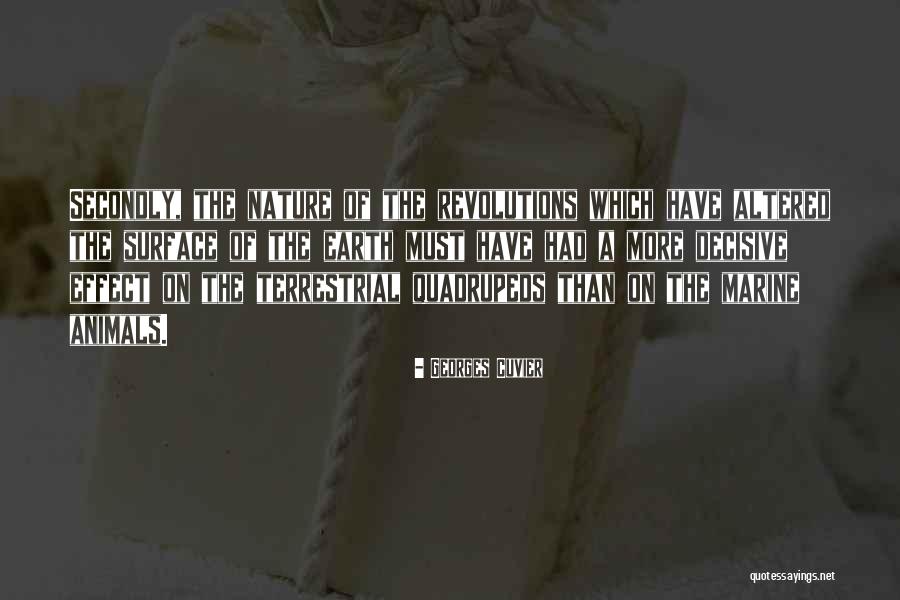 Cribbs Kitchen Quotes By Georges Cuvier Cribbs Kitchen Quotes By Georges Cuvier