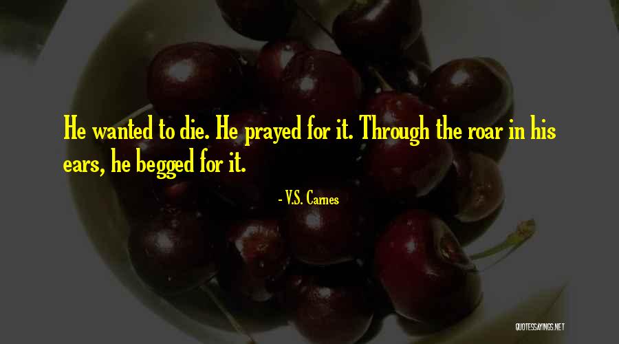 Criceti 15 Quotes By V.S. Carnes Criceti 15 Quotes By V.S. Carnes
