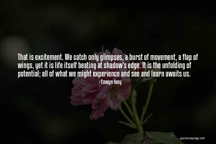 Crichtons Expression Quotes By Eowyn Ivey Crichtons Expression Quotes By Eowyn Ivey