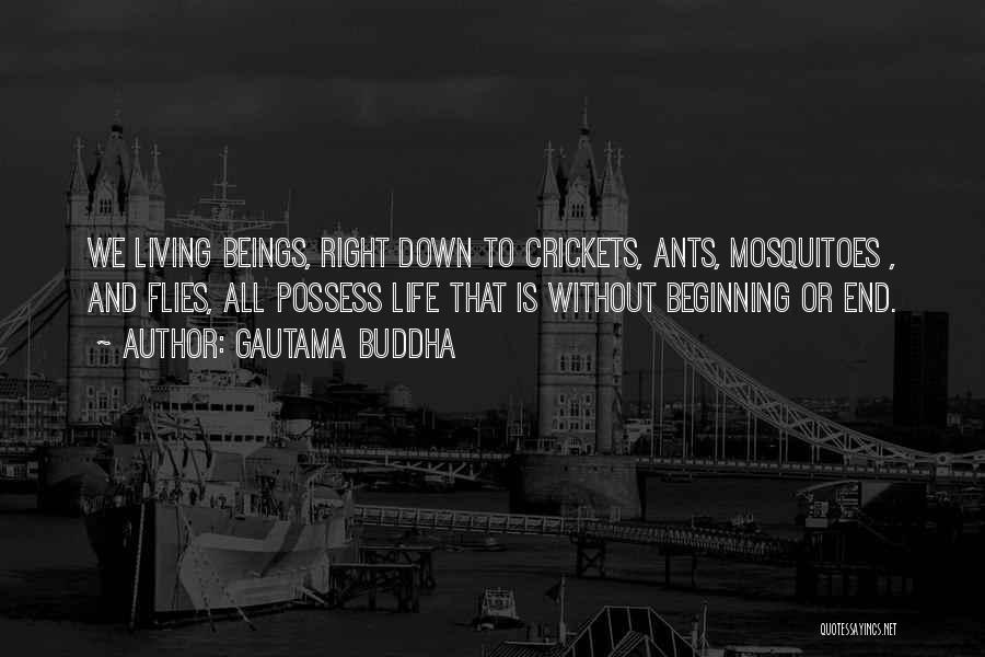 Cricket Is My Life Quotes By Gautama Buddha