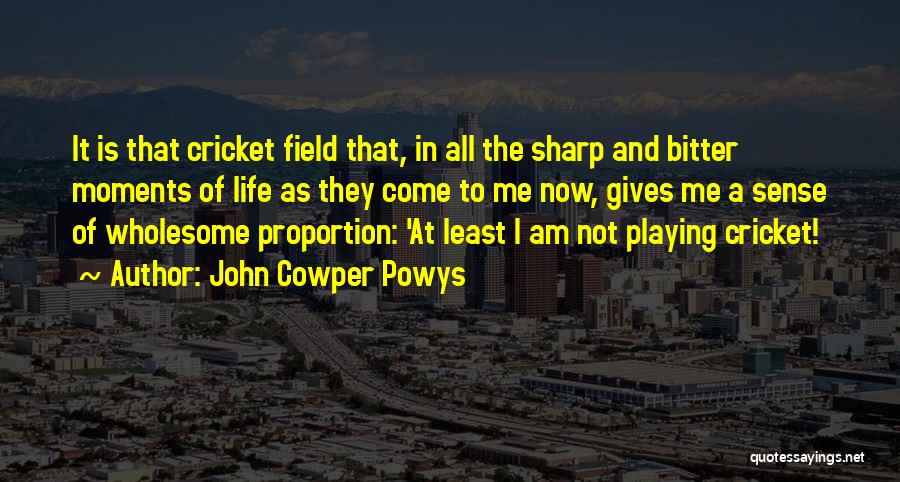 Cricket Is My Life Quotes By John Cowper Powys