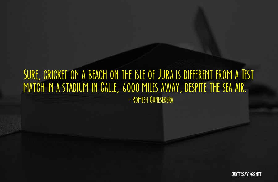 Cricket Match Quotes By Romesh Gunesekera Cricket Match Quotes By Romesh Gunesekera