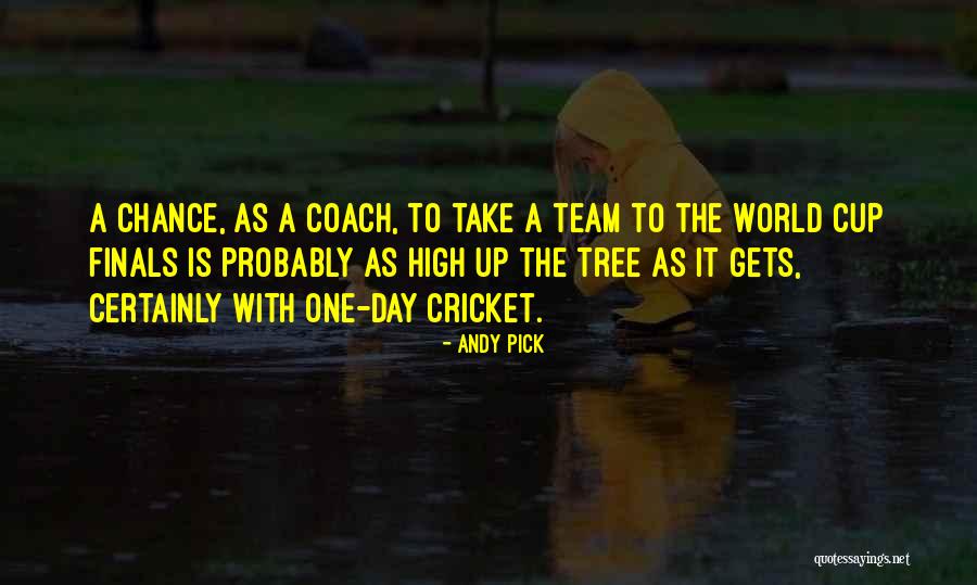 Cricket Team Quotes By Andy Pick