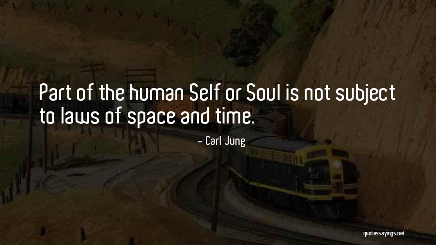 Cricket World Cup Fever Quotes By Carl Jung