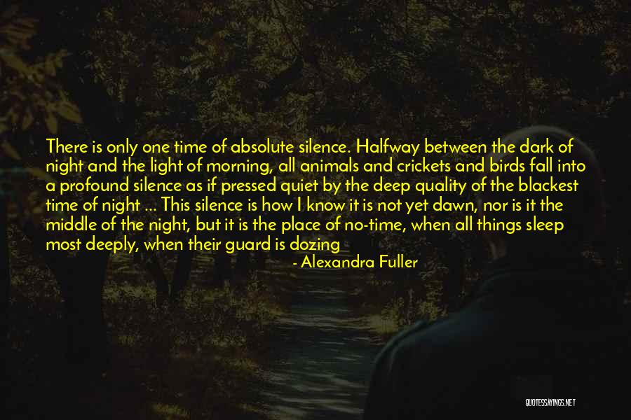 Crickets At Night Quotes By Alexandra Fuller Crickets At Night Quotes By Alexandra Fuller