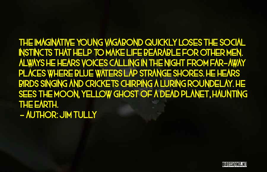 Crickets Chirping Quotes By Jim Tully
