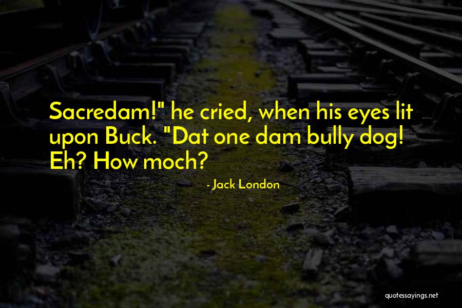 Cried Eyes Quotes By Jack London