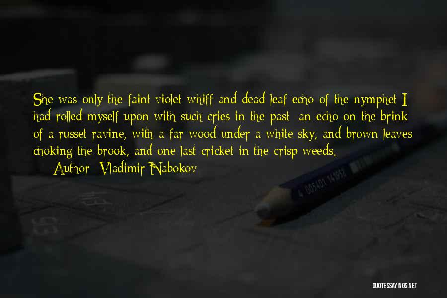 Cries Quotes By Vladimir Nabokov